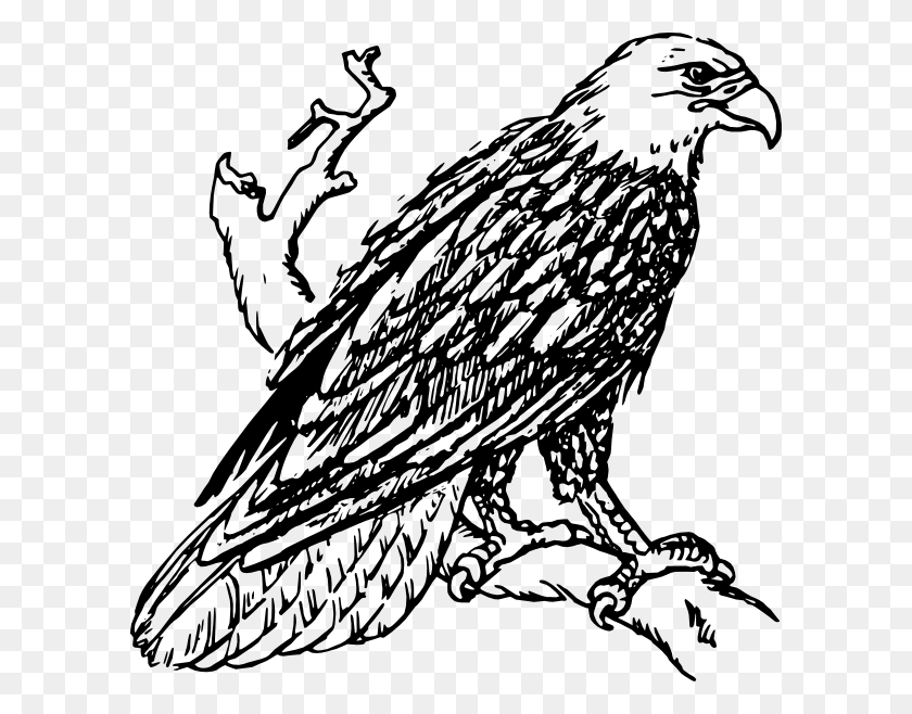 600x598 Bald Eagle Standing On The Branch Clip Art Description - Eagle Feather Clip Art