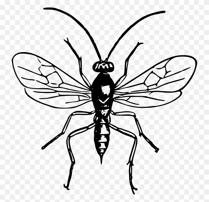 746x750 Bald Faced Hornet Insect Wasp Bee - Wasp Clipart