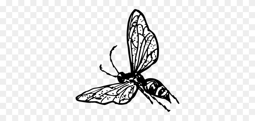 342x340 Bald Faced Hornet Insect Wasp Bee - Butterfly Net Clipart