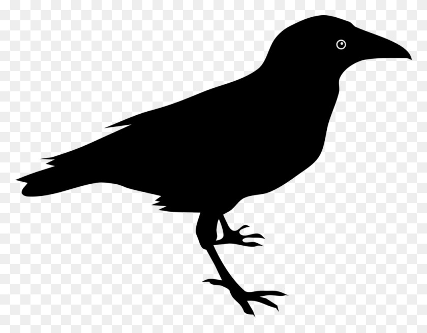 981x750 Baltimore Ravens Common Raven The Raven Crow Download Free - Ravens PNG