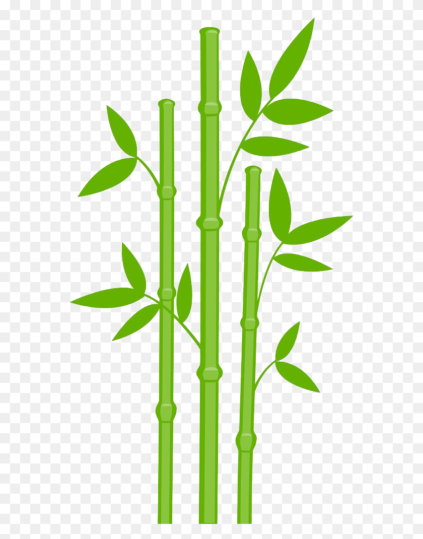 564x1010 Короткий Бамбуковый Клипарт - Клипарт Из Сахарного Тростника