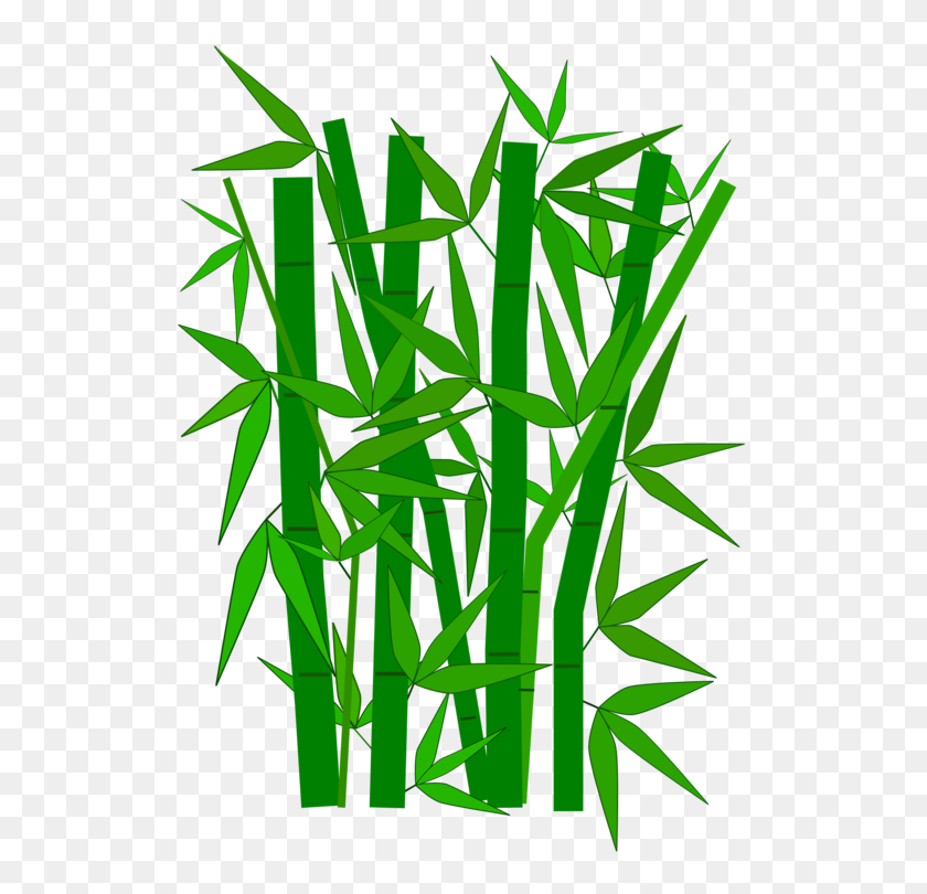 530x750 Bamboo Giant Panda Grasses Download Guadua - Free Grass Clipart