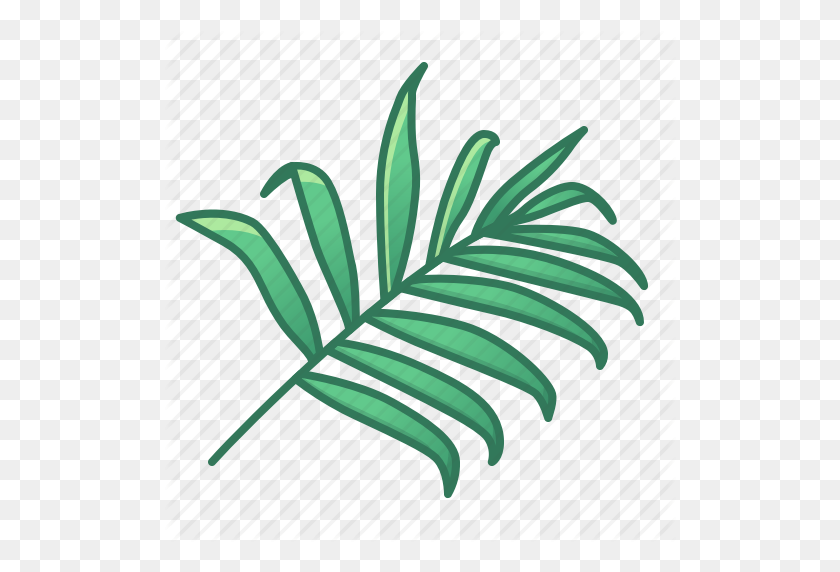 512x512 Bambú, Verde, Iconos, Hoja, Hojas, Naturaleza, Palmera, Trópico, Tropical - Hoja De Palmera Png