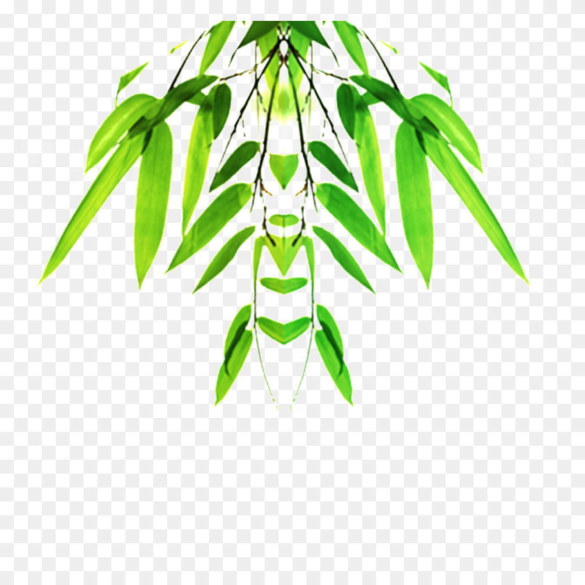 1024x1024 La Hoja De Bambú De Bambú Hermosa Hd Png Free Png Download Png Vector - Bamboo Png