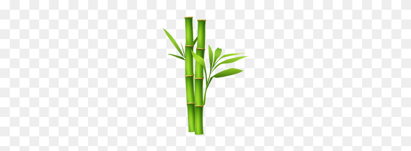 181x250 Bamboo Pattern, Image Png - Bamboo Frame PNG