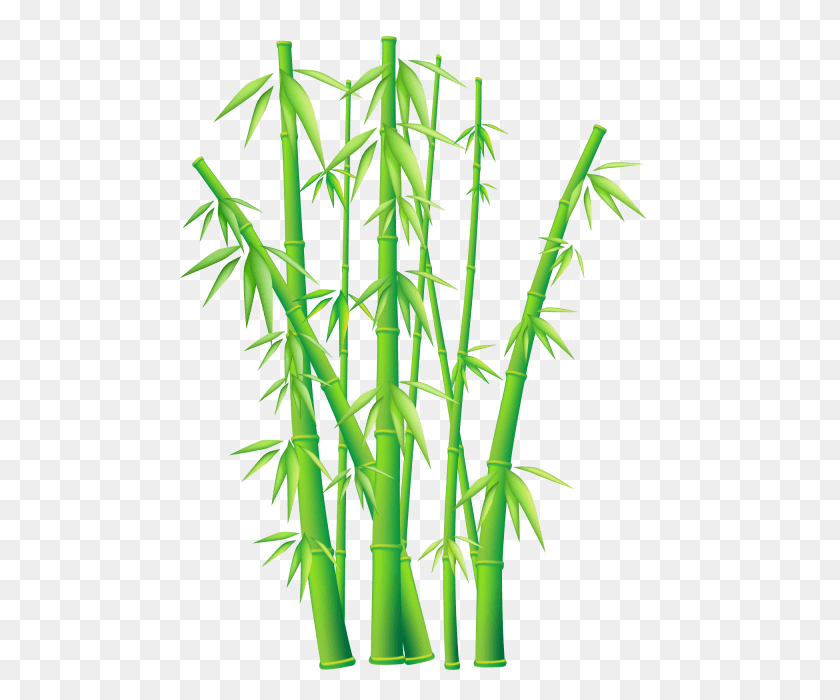 480x640 Bamboo Png - Bamboo PNG