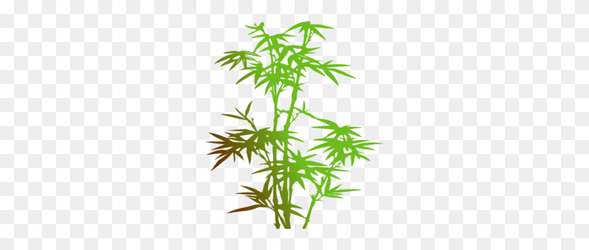 255x297 Bamboo Png, Clip Art For Web - Bamboo Frame PNG