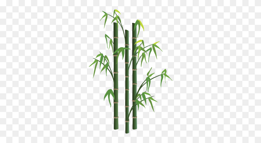 270x400 Bamboo Tree Png - Bamboo PNG