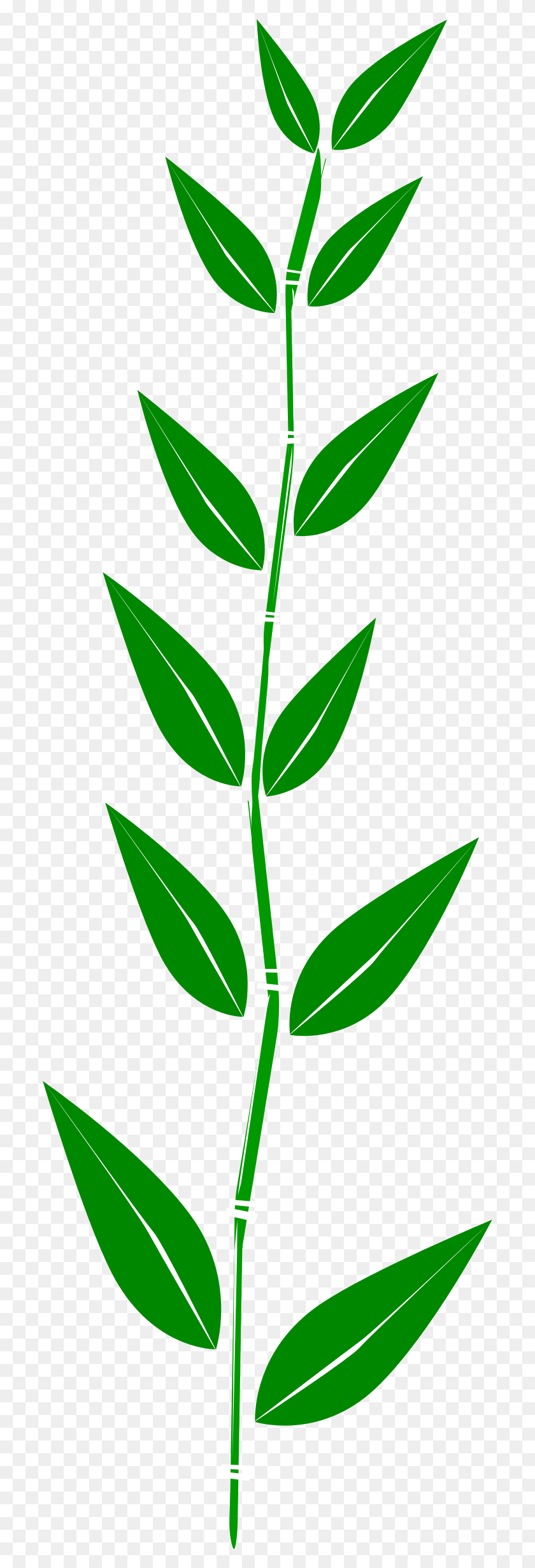 706x2400 Bamboo,leaf Icons Png - Bamboo PNG