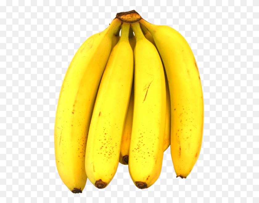 489x599 Banana - Banana PNG