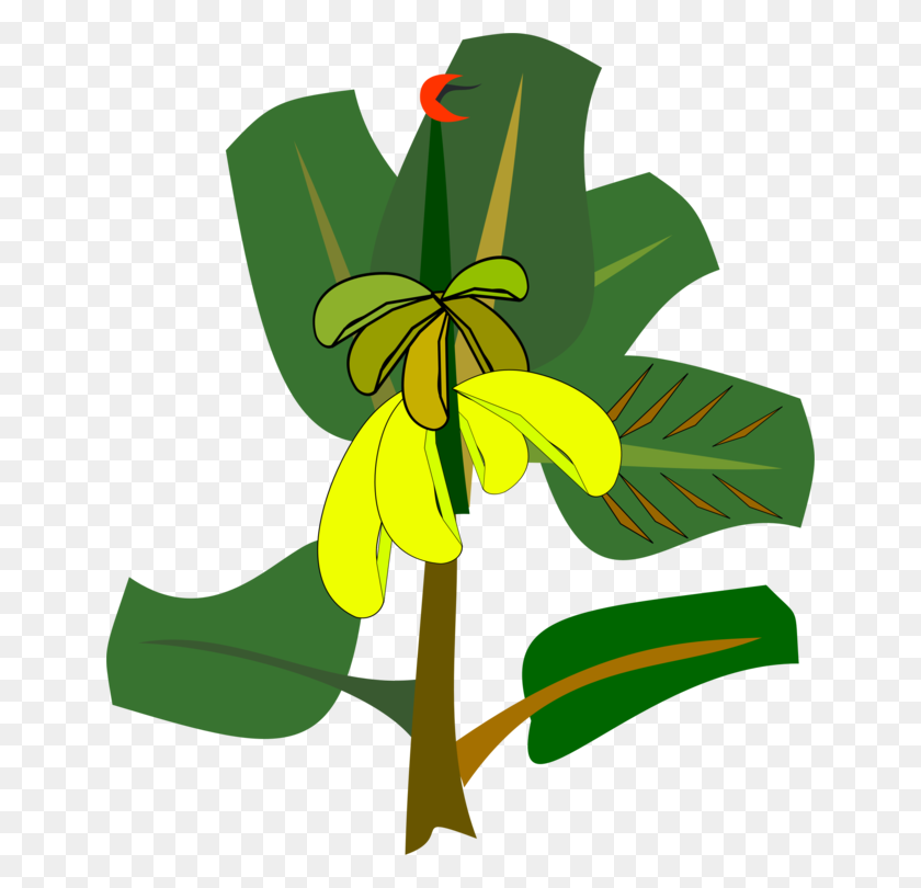 646x750 Banana Leaf Drawing Cartoon - Banana Leaf Clipart