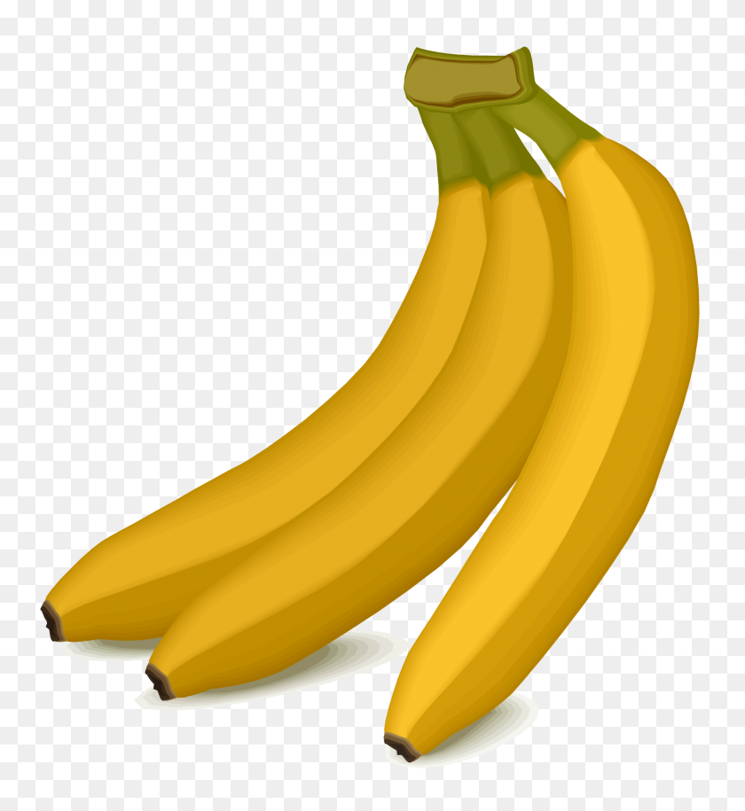 2000x2193 Бананы - Кактус Png Клипарт