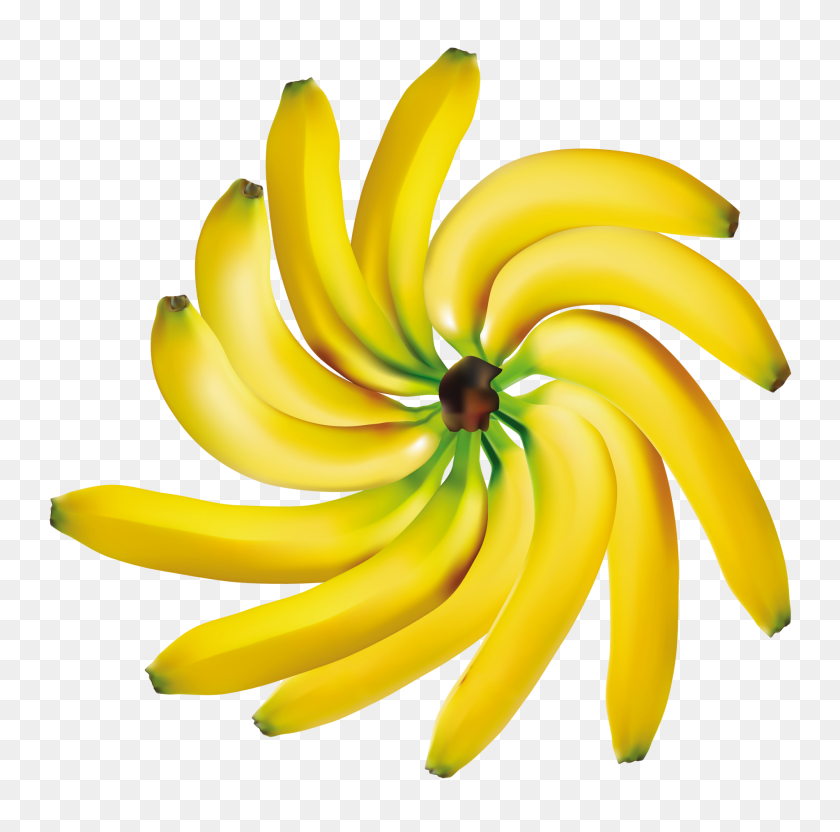 1899x1880 Бананы Украшения Png Клипарт - Украшения Png