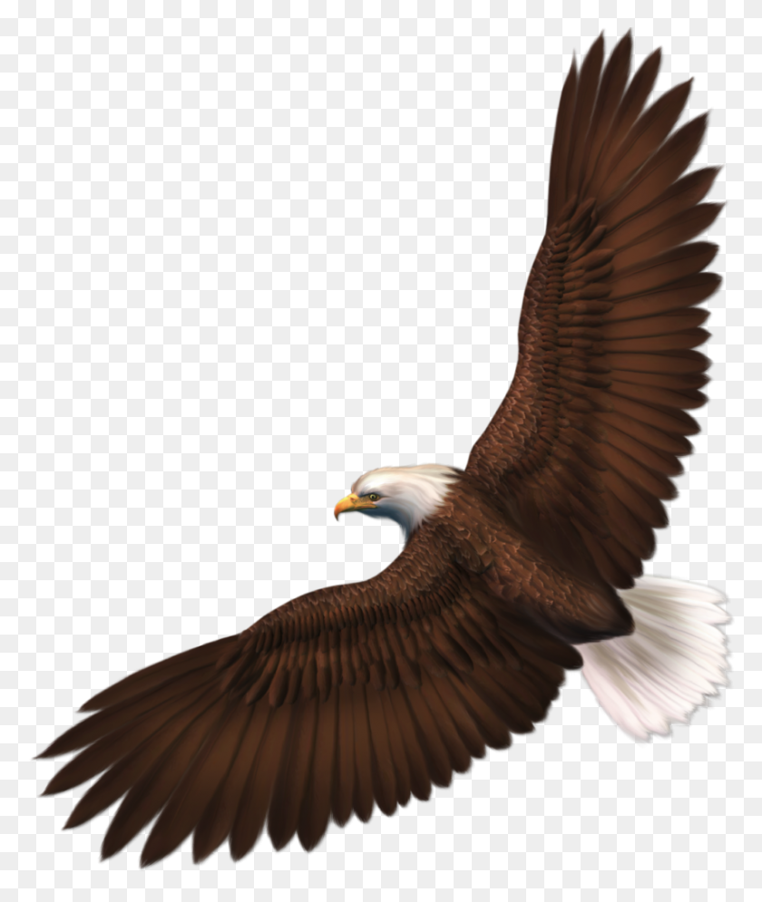 854x1024 Banners Clipart Eagle Of Winging - Imágenes Prediseñadas De Pluma De Águila