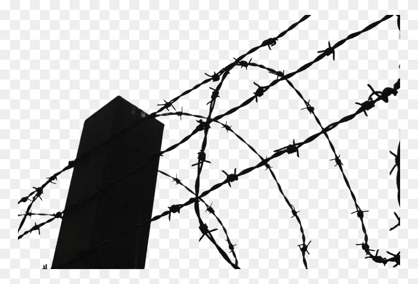 768x511 Barbed Wire Png Transparent Images, Pictures, Photos Png Arts - Barbed Wire Fence PNG