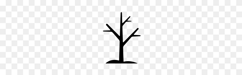 200x200 Bare Tree Icons Noun Project - Bare Tree PNG