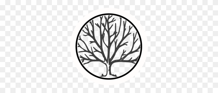 300x300 Bare Tree Outline Circle - Weeping Willow Tree Clipart