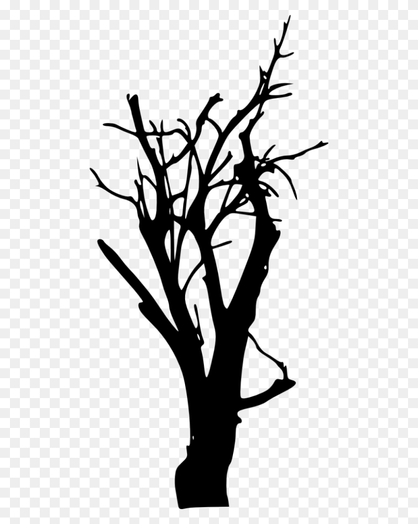 480x993 Bare Tree Silhouette Png - Tree Silhouette PNG