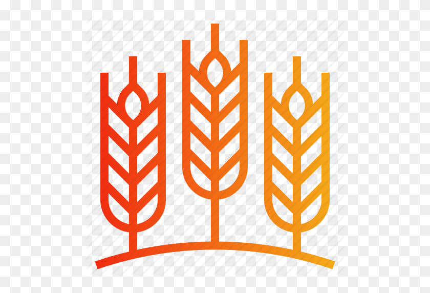 512x512 Ячмень, Зерновые, Сельское Хозяйство, Растение, Значок Пшеницы - Ячмень Png