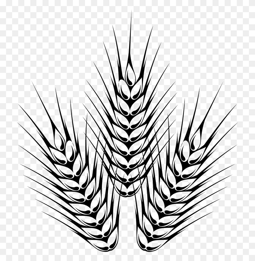 730x800 Barley Drawing Easy For Free Download - Barley Clipart