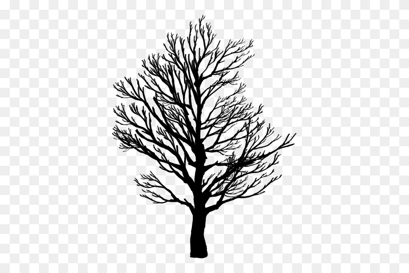 379x500 Barren Tree Silhouette - Oak Tree Silhouette PNG