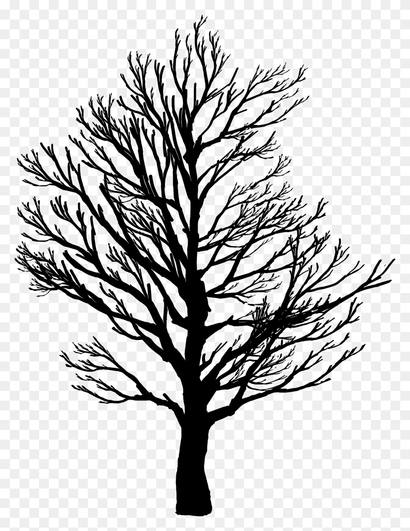 1738x2290 Barren Tree Silhouette Icons Png - White Tree PNG