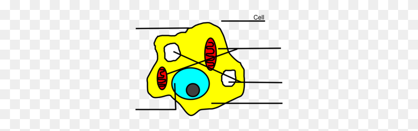298x204 Basic Animal Cell Diagram Unlabeled Clip Art - Diagram Clipart