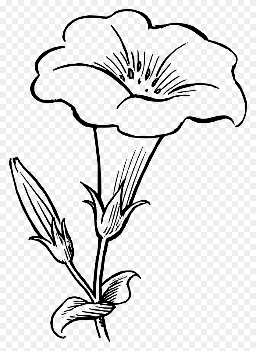 1871x2618 Корзина Цветов Черно-Белый Клипарт - Растение Черно-Белый Клипарт
