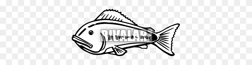 361x159 Bass Fish Clip Art - Bass Fish Clipart