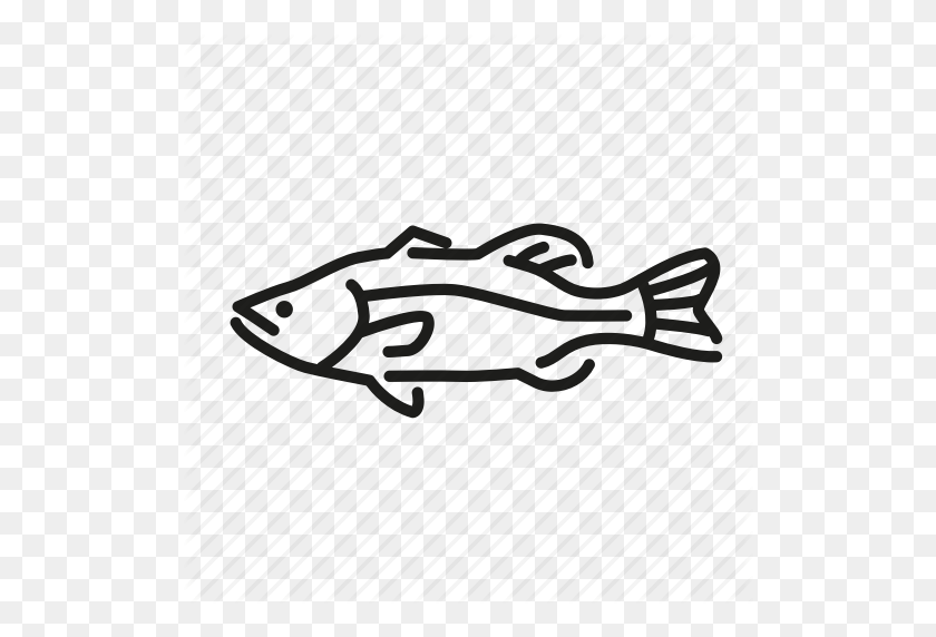 512x512 Bass, Fish, Freshwater Gamefish, Largemouth Bass, North America - Bass Fish PNG