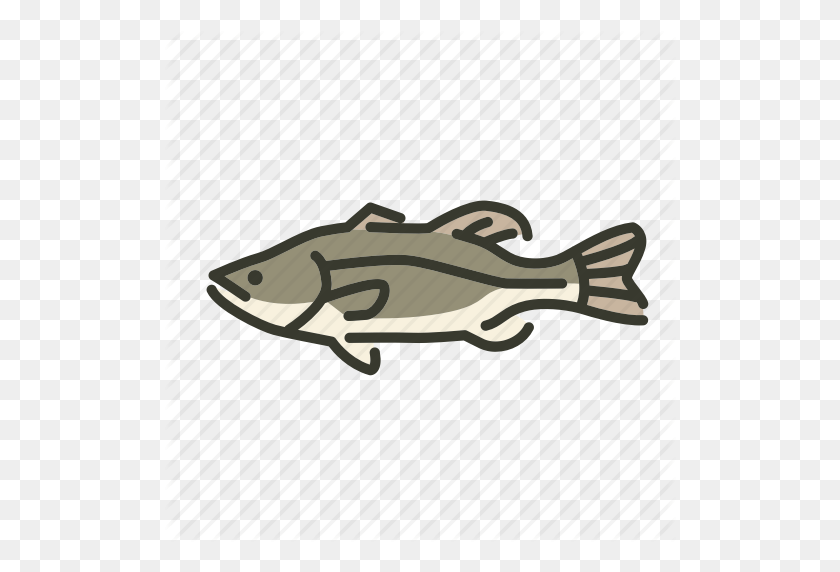 512x512 Bass, Fish, Freshwater Gamefish, Largemouth Bass, North America - Largemouth Bass Clipart