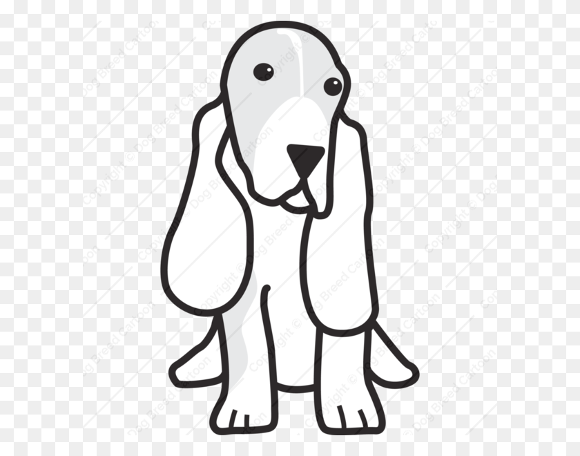 600x600 Basset Hound Linear Edition Perro Raza De Dibujos Animados Descargar - Basset Hound Clipart