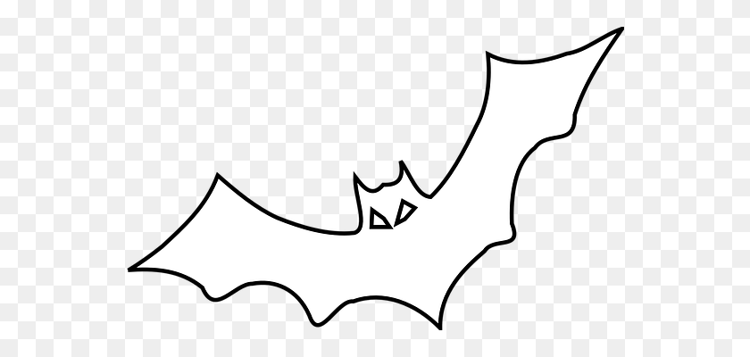 558x340 Bat, Black, Outline, Bird, Fly If I Was A Bee Bat - Spooky House Clipart