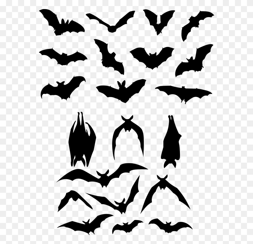 582x750 Bat Flight Silhouette Logo - Flight Clipart
