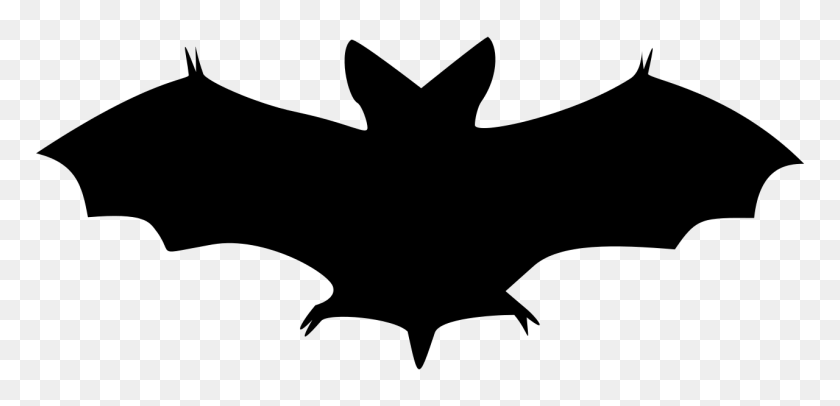 1280x568 Bat Shadow Black - Black Bat Clipart
