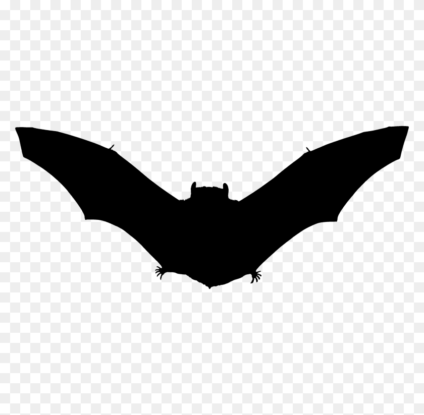 1890x1851 Bat Silhouette Free Download - Bat Silhouette PNG