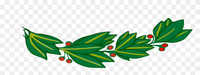 1034x340 Bay Laurel Bay Leaf Herb Basil - Basil Clipart