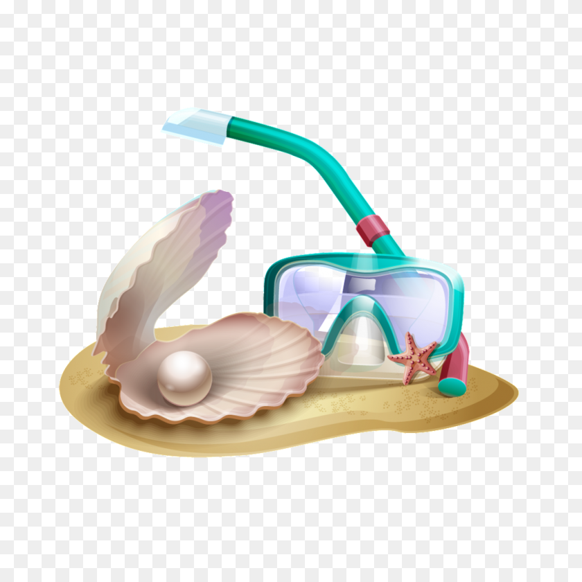 1024x1024 Beach Shell Transparent Free Png Download Png Vector - Seashells PNG