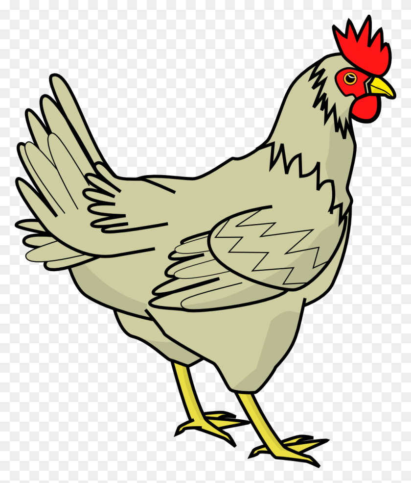 999x1185 Beak Clipart Chicken - Eagle Head Clipart