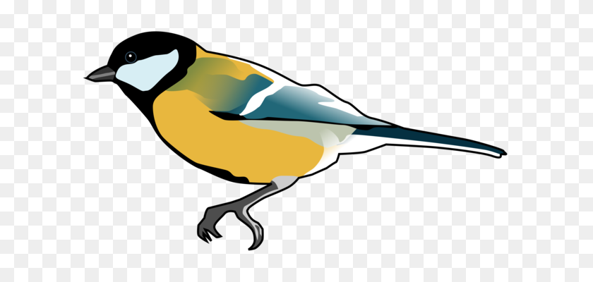 627x340 Beak Finches Bird Passerine Common Kingfisher - Sparrow Clipart