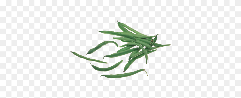 379x283 Beans Transparent Png Image - Green Beans PNG