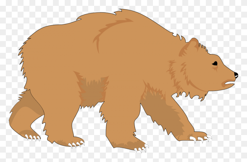 900x568 Медведь Клипарт - Клипарт Медведь Гризли