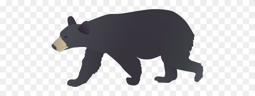 501x258 Bear Drawing - Puma Clipart