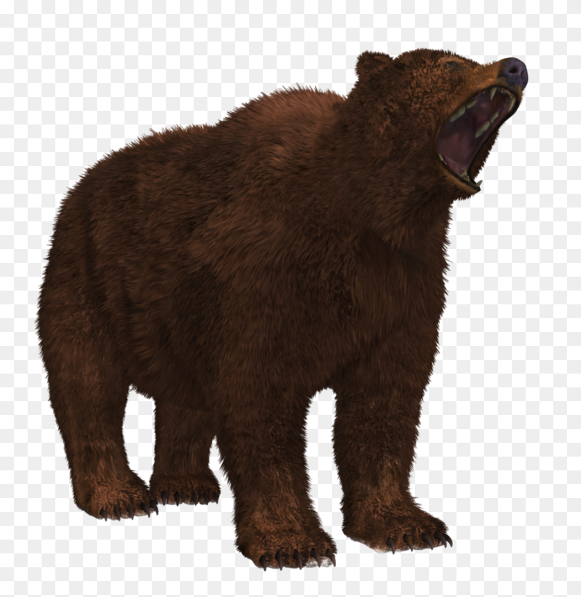 881x907 Bear Png Png Image Animals - Grizzly Bear PNG