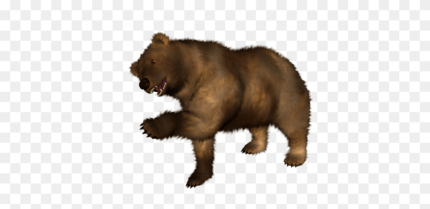 454x350 Oso Png