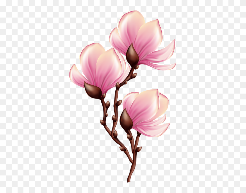 380x600 Beautiful Blooming Branch Transparent Png Clip Art Image Clip - Blooming Flower Clipart