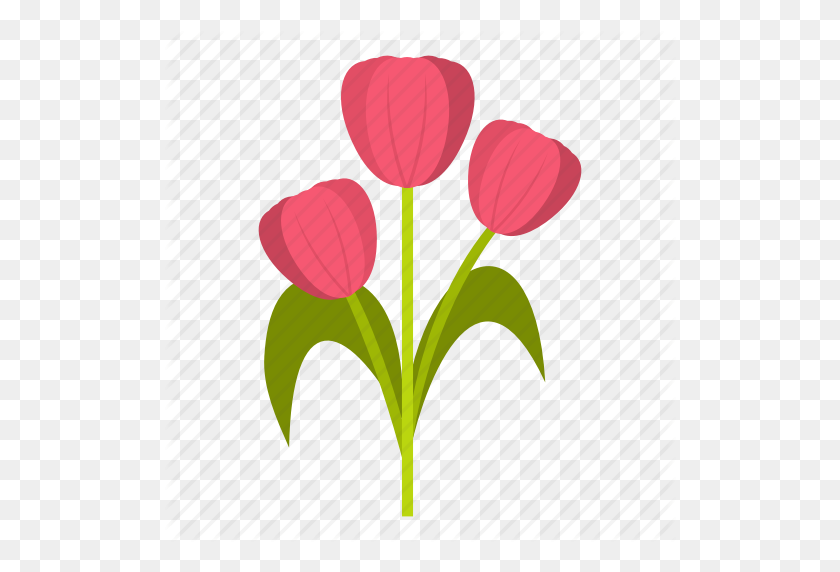 512x512 Hermoso, Ramo, Flor, Mamá, Rosa, Primavera, Tulipán Icono - Ramo De Rosas Imágenes Prediseñadas