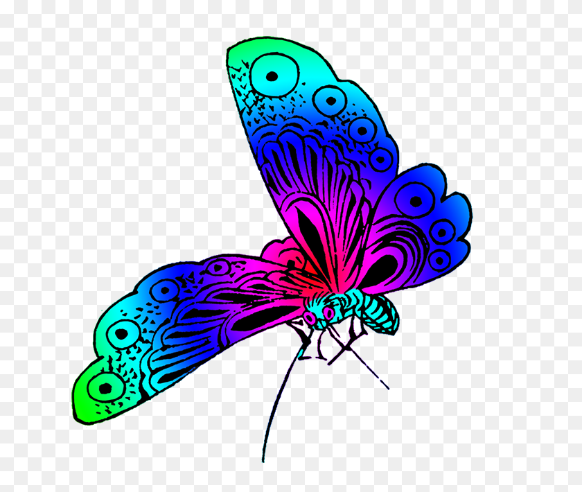640x650 Красивые Изображения Бабочек - Фиолетовая Бабочка Png