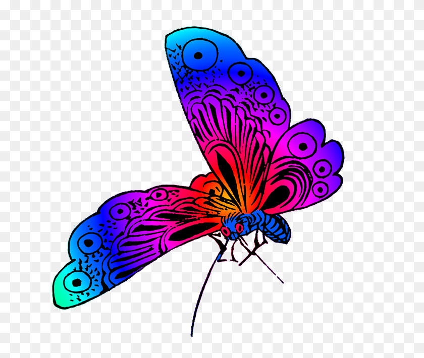640x650 Beautiful Butterfly Images - Get Well Soon Clipart Free