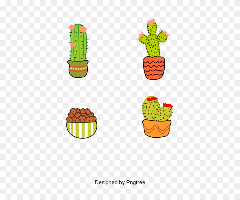 640x640 Hermoso De Dibujos Animados Lindo Pintado A Mano Planta De Cactus, Hermoso - Lindo Cactus Png